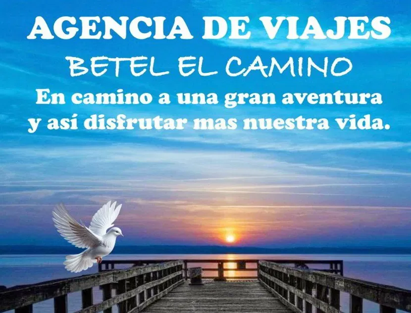 beteelcamino