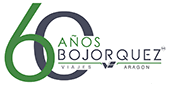 bojorquezaragon