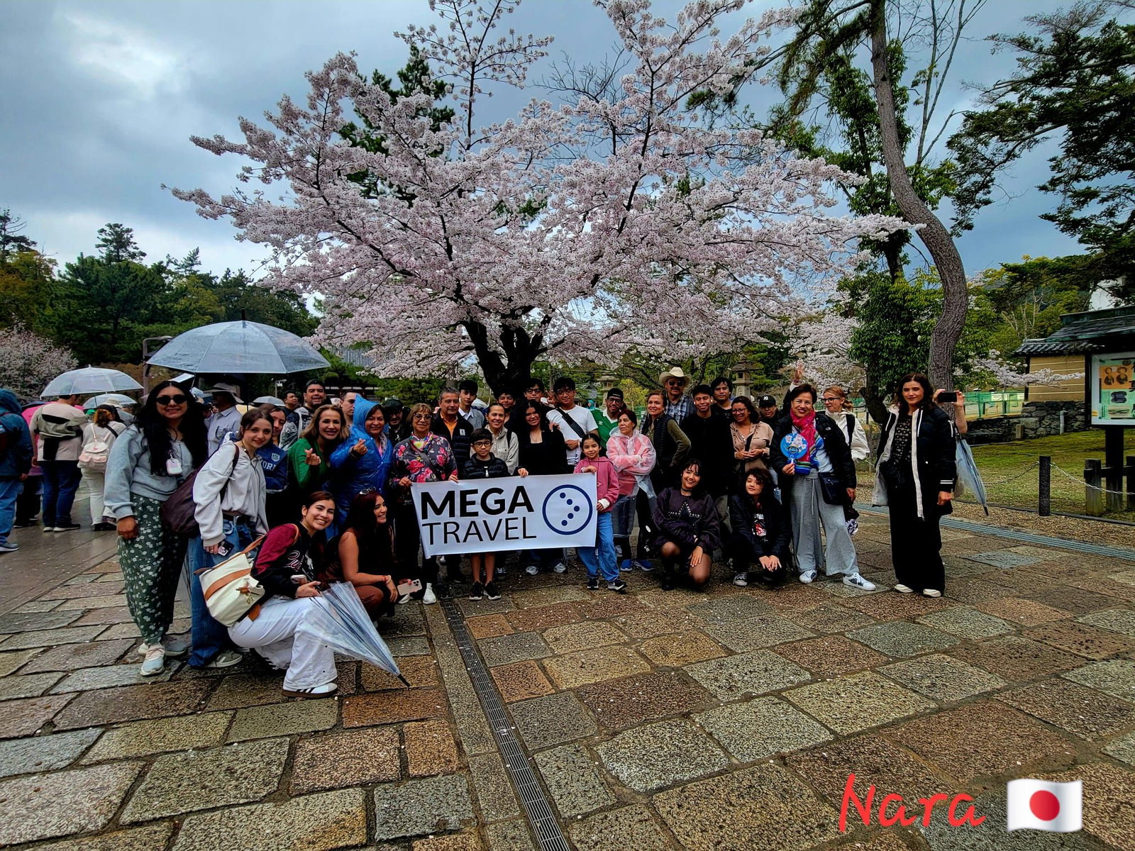 Nara - Primavera