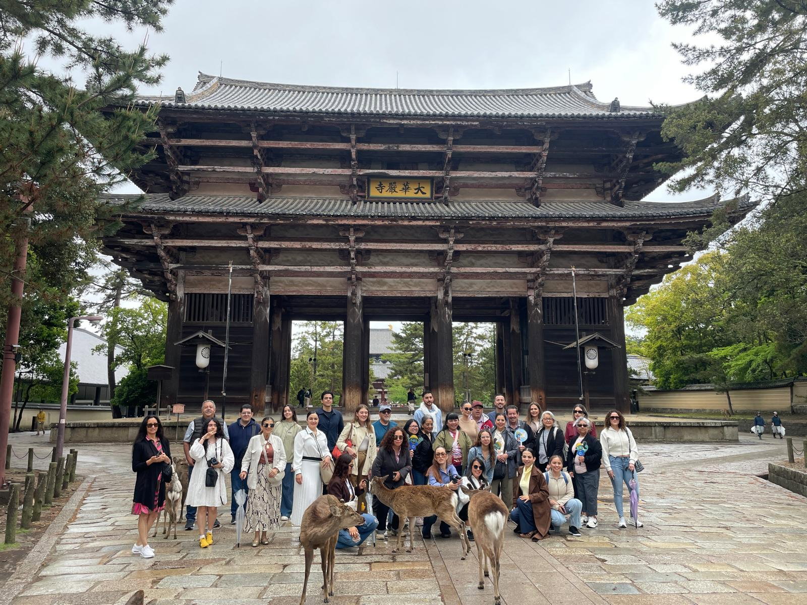 Nara - Primavera