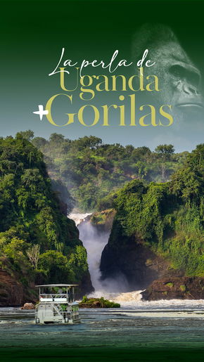 La Perla de Uganda + Gorilas