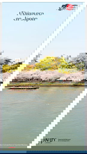 gestion-de-viajes-de-placer-y-negocios