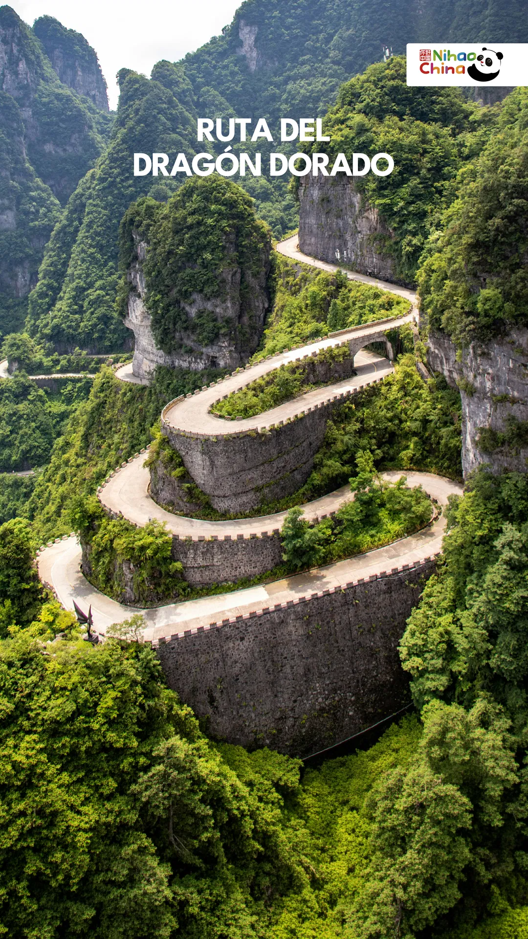 Ruta del Dragon Dorado