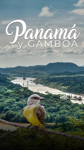 Panamá y Gamboa