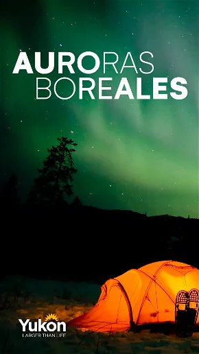 Auroras Boreales