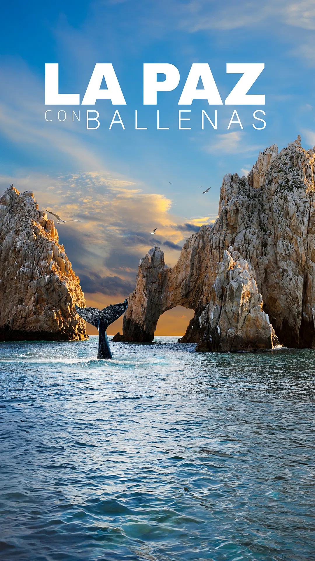 La Paz con Ballenas