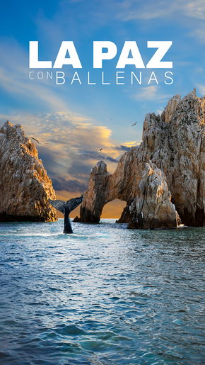 La Paz con Ballenas