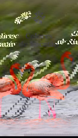 Colores de Yucatán