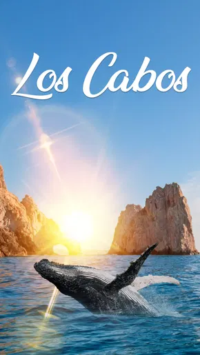 Los Cabos