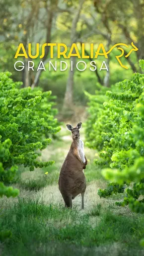 Australia Grandiosa