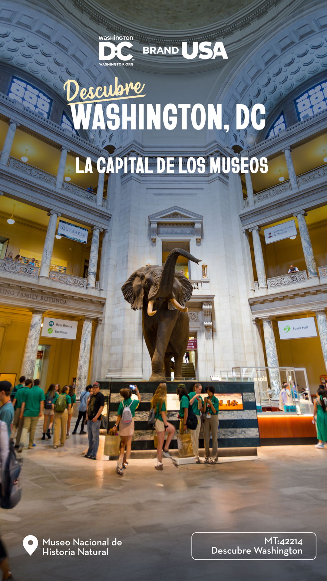 Descubre Washington