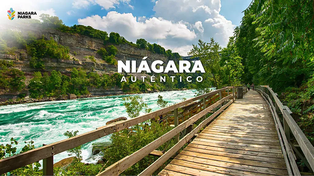 Mega Travel Niagara  Auténtico