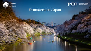 MT-30161 Primavera en Japón