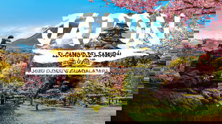 Megatravel