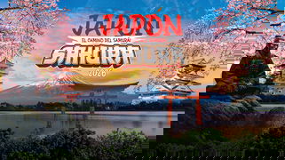 Megatravel