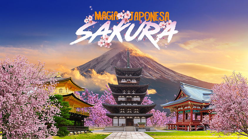 Magia Japonesa Sakura