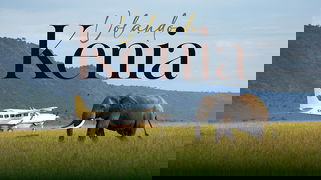 Megatravel