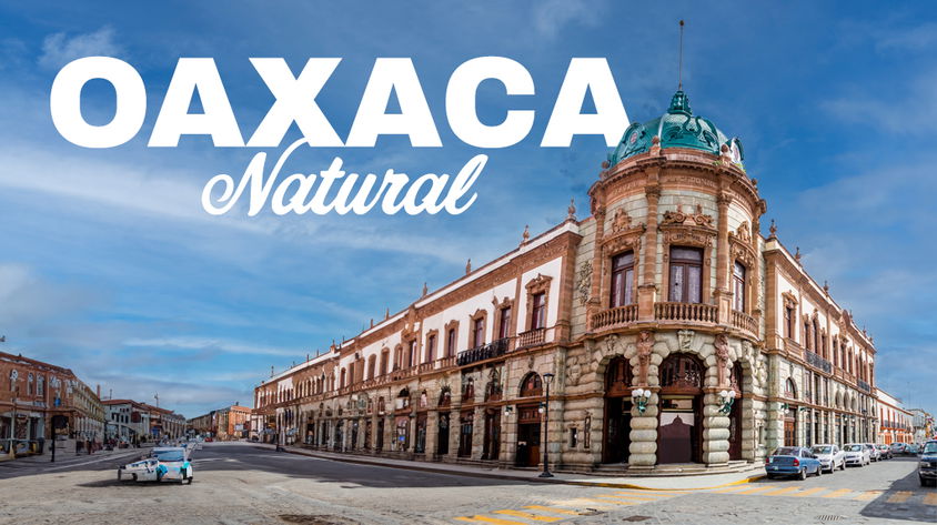 Oaxaca Natural