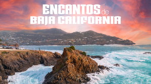 MT-40488 Encantos de Baja California