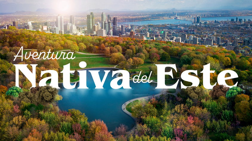 Aventura Nativa del Este