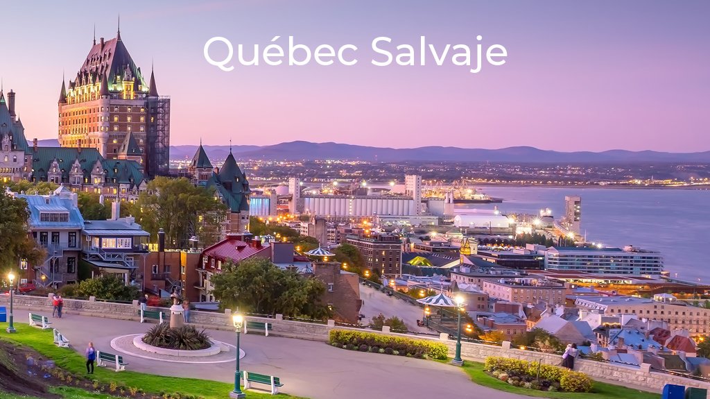 Quebec Salvaje