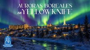 MT-41594 Auroras Boreales en Yellowknife