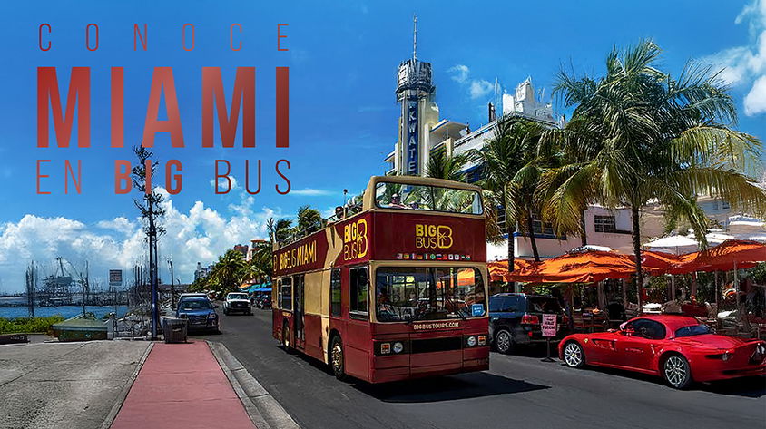 Conoce Miami en Big Bus