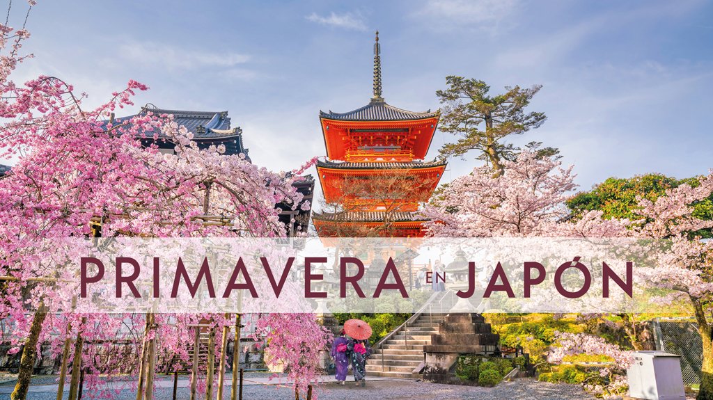Mega Travel Primavera en Japón
