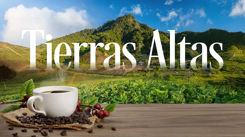  TIERRAS ALTAS_galeria1