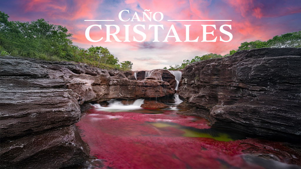  CAÑO CRISTALES_galeria1