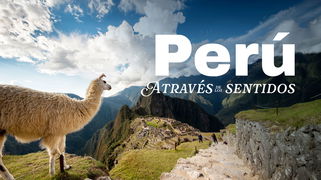 Megatravel