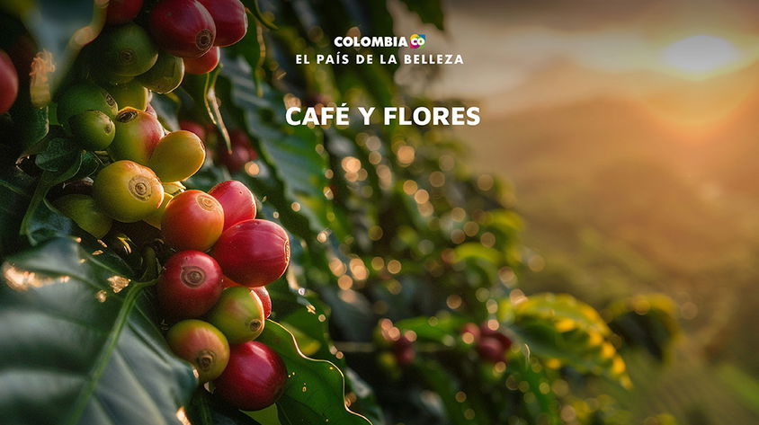 Café y Flores con Pereira