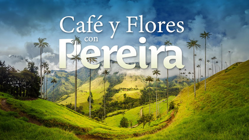 Café y Flores con Pereira visitando Colombia con Mega Travel México