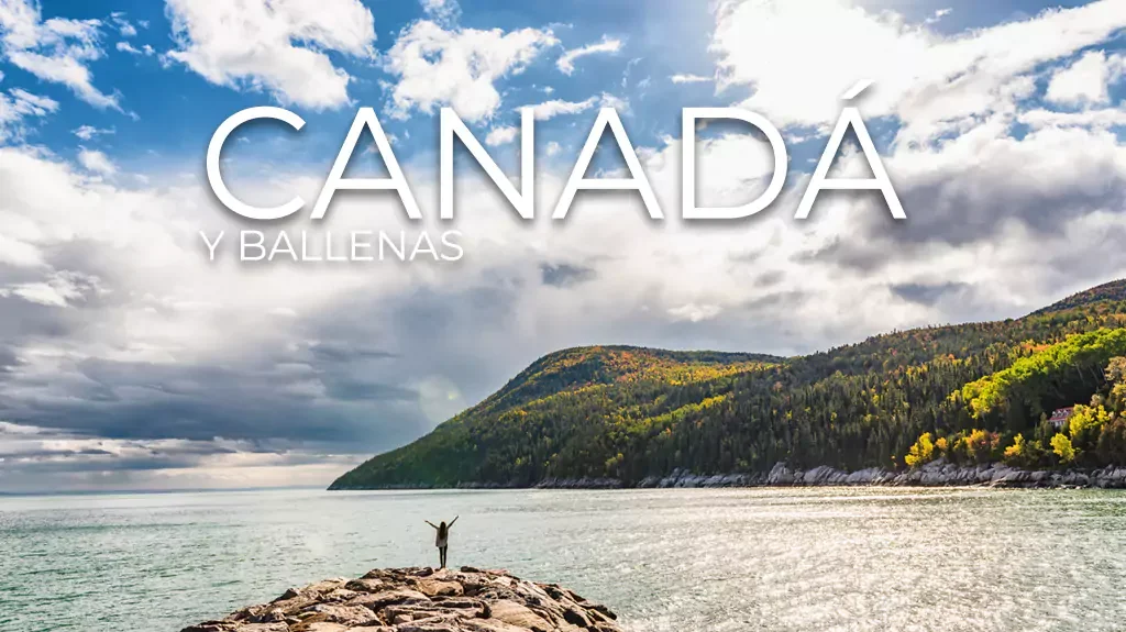 Mega Travel Canadá y Ballenas