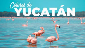 MT-40339 Colores de Yucatán