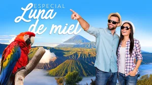 MT-50017 Especial Luna de Miel
