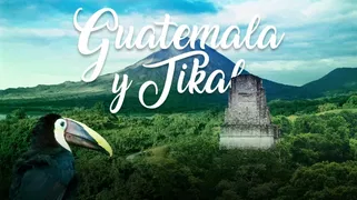 Megatravel