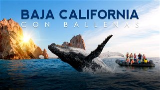 Baja California Con Ballenas