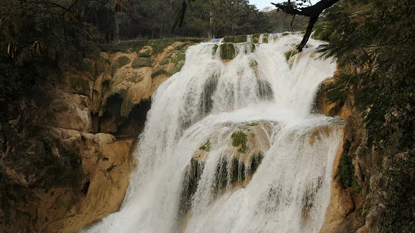 Huasteca especial visitando México con Mega Travel México
