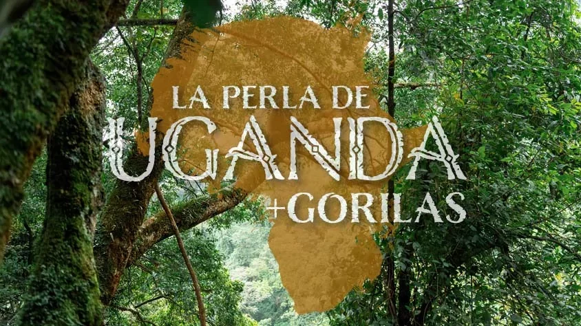 viaje La Perla De Uganda + Gorilas