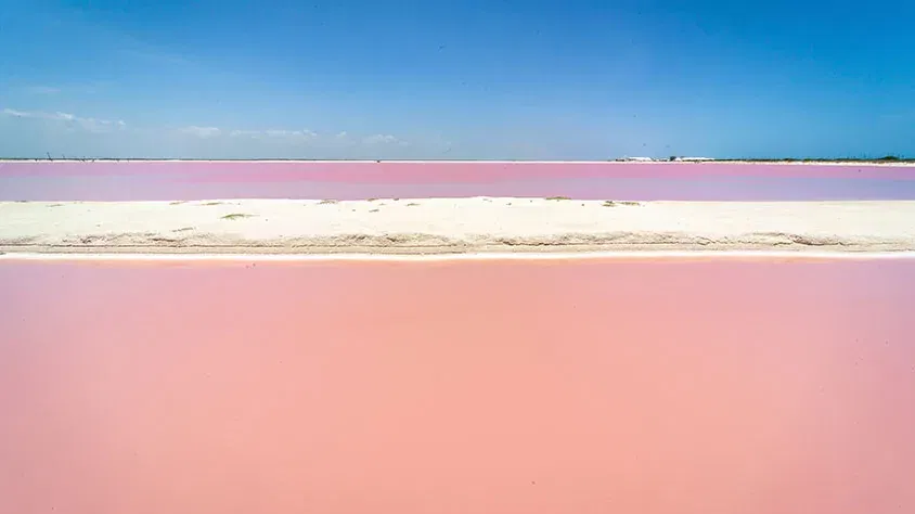 Imagen top del paquete