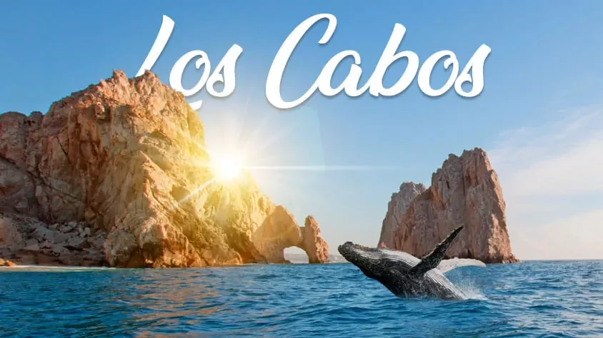 Mega Travel Los Cabos