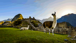 MT-52332 Vive la Magia del Peru Desde Monterrey