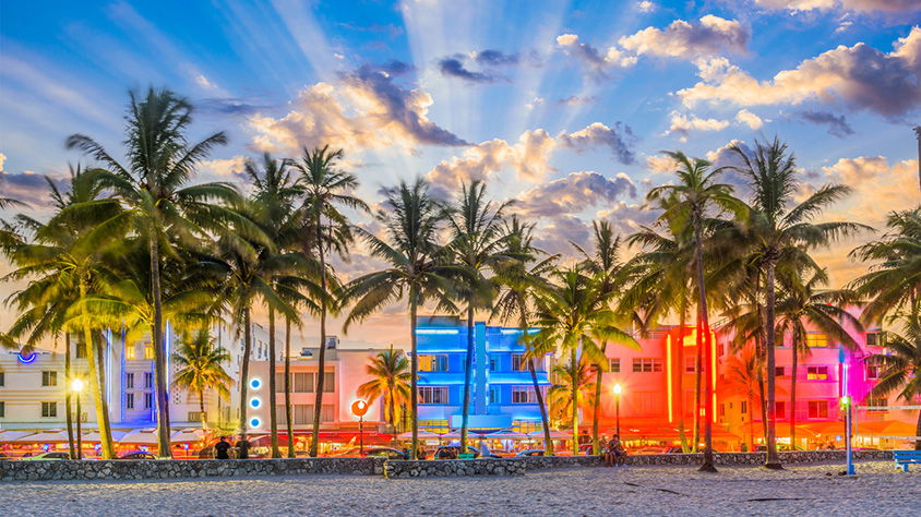 Conoce Miami en Big Bus