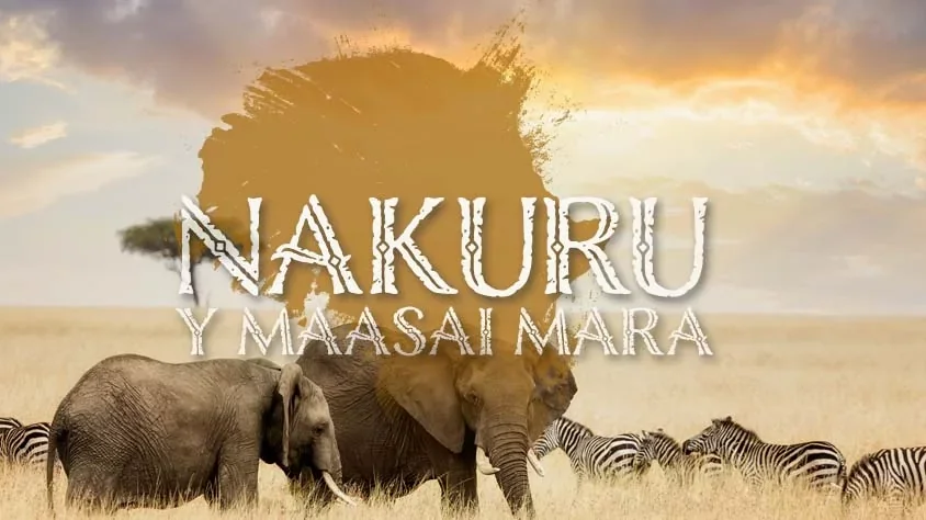 viaje Nakuru Y Maasai Mara