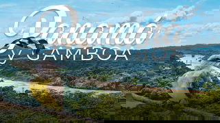 Megatravel