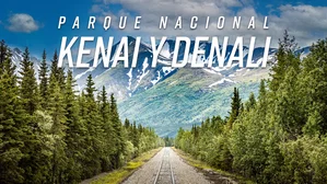 MT-42792 Parque Nacional Kenai y Denali