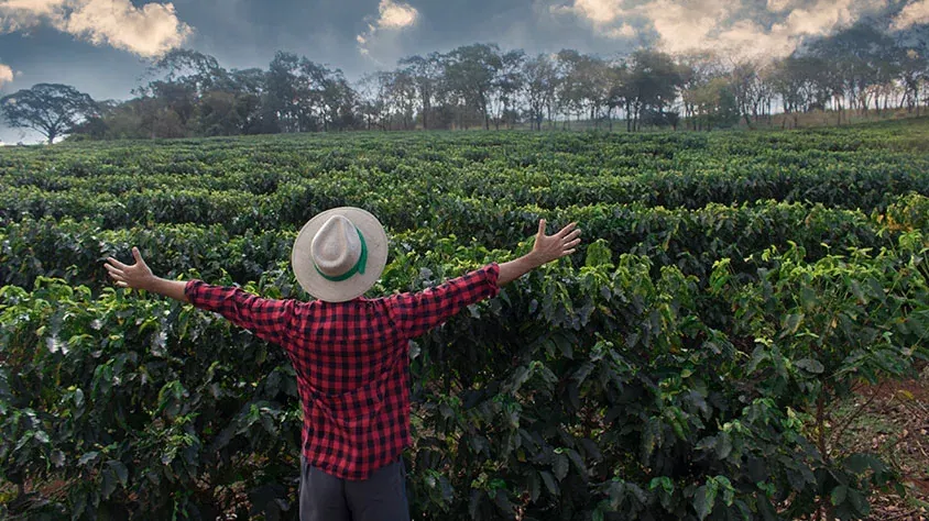  CON AROMA DE CAFÉ INICIANDO DESDE PEREIRA_galeria1