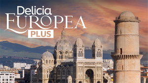 MT-12585 Delicia Europea Plus