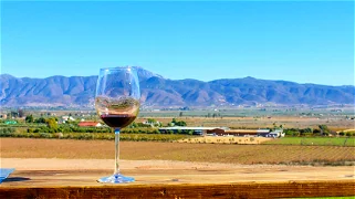 Ruta del Vino Baja California